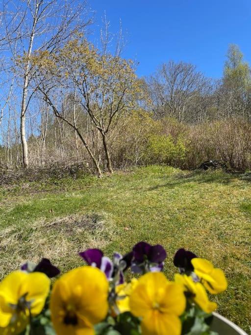 Apartamento Cozy Ground Floor In Nature, By Driving 300 Metres Of Gravel Road On Top Of The Hill Lunde (Hordaland)