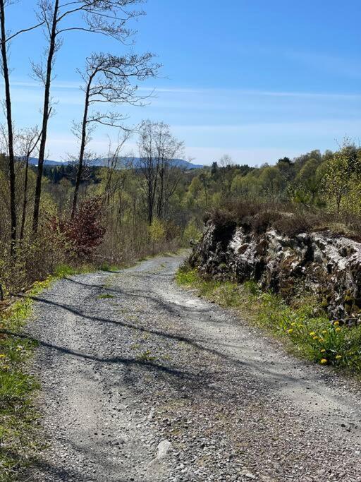 Cozy Ground Floor In Nature, By Driving 300 Metres Of Gravel Road On Top Of The Hill * Lunde (Hordaland)