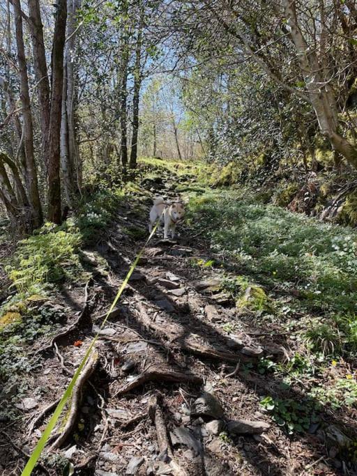 Cozy Ground Floor In Nature, By Driving 300 Metres Of Gravel Road On Top Of The Hill *