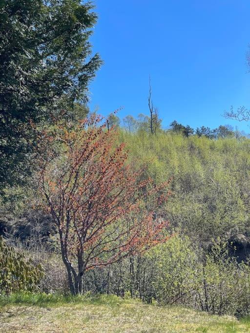 Cozy Ground Floor In Nature, By Driving 300 Metres Of Gravel Road On Top Of The Hill Apartamento *
