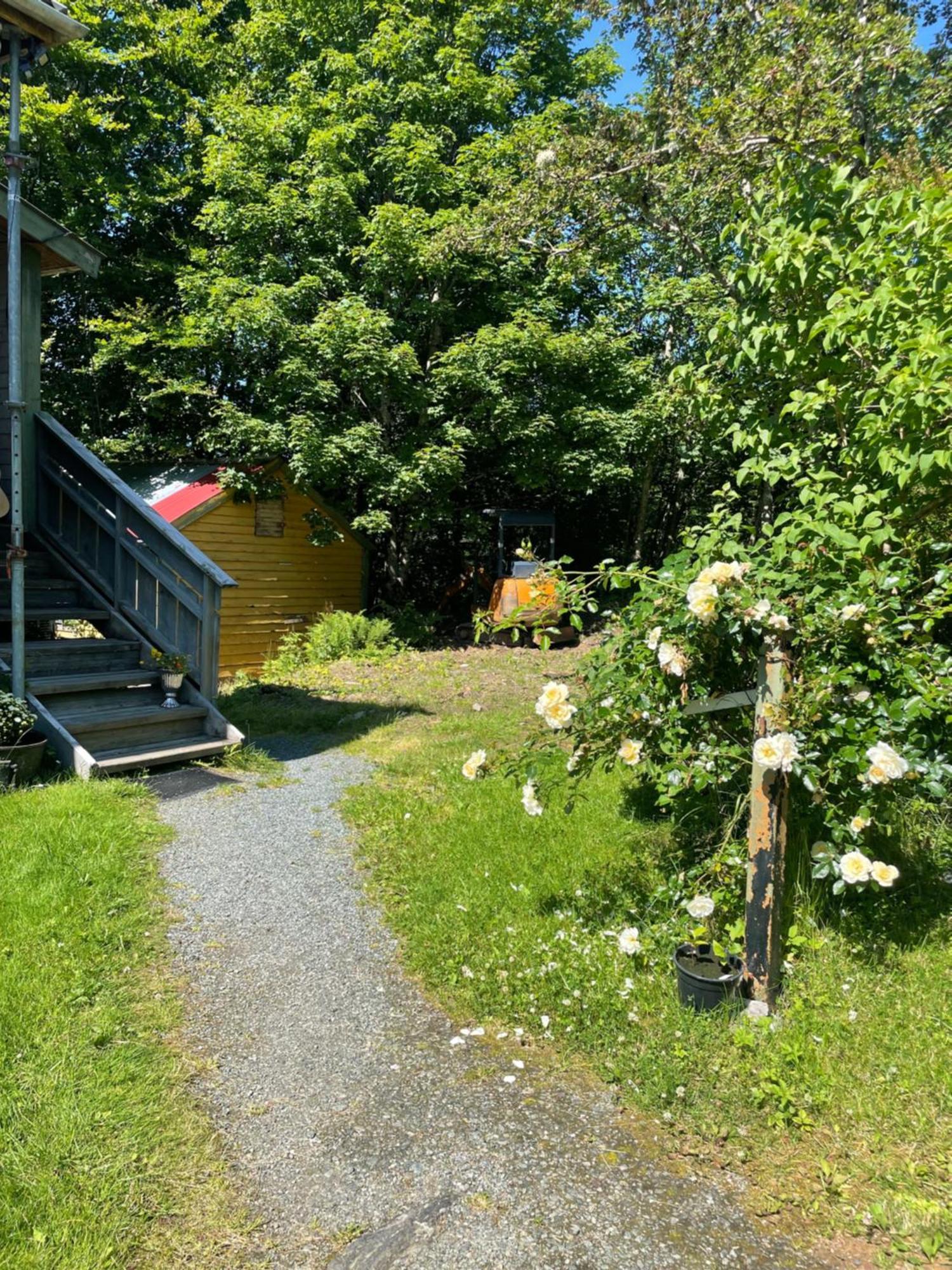Apartamento Cozy Ground Floor In Nature, By Driving 300 Metres Of Gravel Road On Top Of The Hill