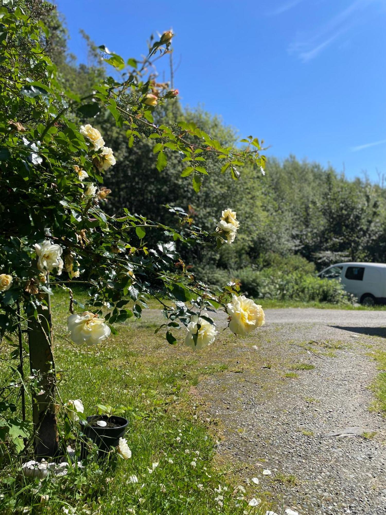 Cozy Ground Floor In Nature, By Driving 300 Metres Of Gravel Road On Top Of The Hill Apartamento Lunde (Hordaland)